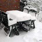 DSC_3442.JPG