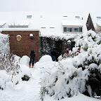 DSC_3448.JPG