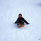 DSC_3479.JPG