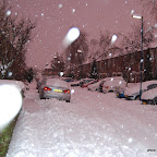 DSC_3487.JPG