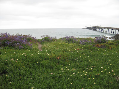 pismo