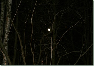 natt 021
