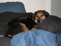 Drea propping her head on the pillow