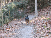 Winter Hike; Cantwell Cliffs State Park, near Logan, OH