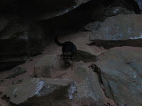 Winter Hike; Cantwell Cliffs State Park, near Logan, OH
