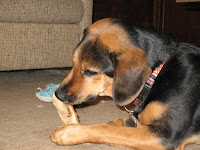 Drea Dog