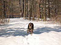Drea, Sharon Woods Metro Park