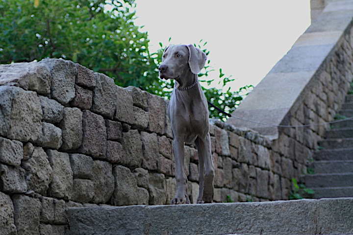 Фотоитоги. 2010 год.