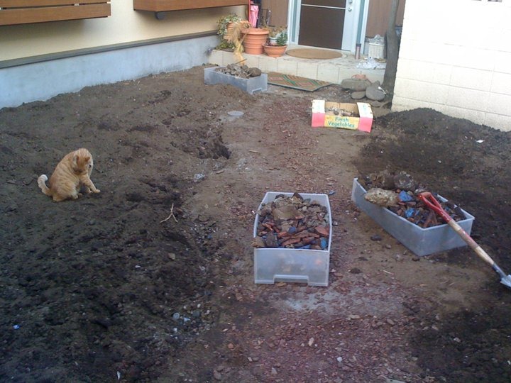 [206797_10150120480258757_542023756_6556706_5454094_n[6].jpg]