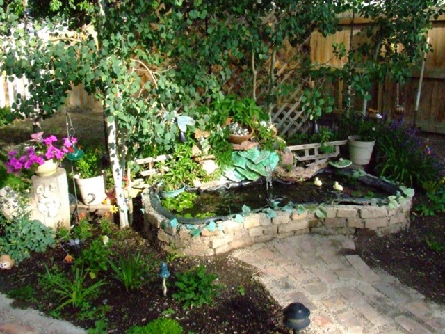 [pond[2].jpg]