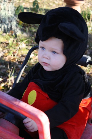 [halloween20100214.jpg]