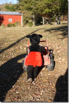 halloween, 2010 025