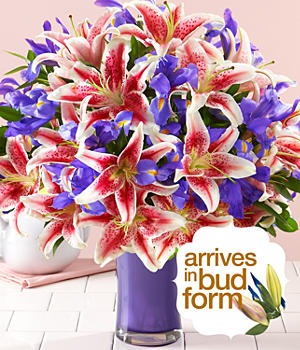 [Mothers-Day-Spectacular4.jpg]