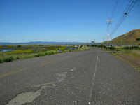 Coyote Hills NE of Dumbarton Bridge 013.JPG Photo
