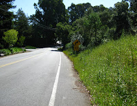 Foothill Bell Ride Logged 005.JPG Photo