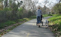 Los Gatos Trail 044.JPG Photo