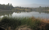 Los Gatos Trail 061.JPG