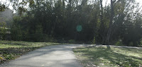 Los Gatos Trail 078.JPG