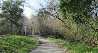 Los Gatos Trail 089.JPG