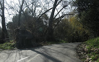 Los Gatos Trail 093.JPG
