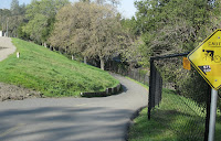 Los Gatos Trail 212.JPG