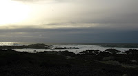 Monterey Bay Ride 195.JPG