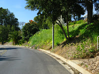 2 Bridge Ride 093.JPG Photo