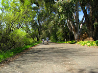 2 Bridge Ride 132.JPG Photo