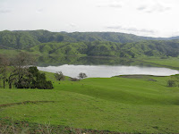 cal res 001.JPG Photo