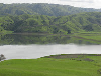 cal res 004.JPG Photo