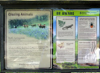 Sunol Regional Wilderness Hike 001.JPG Photo