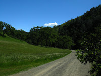 Sunol Regional Wilderness Hike 012.JPG Photo