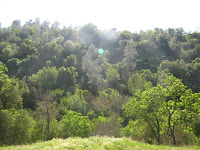 Sunol Regional Wilderness Hike 015.JPG Photo