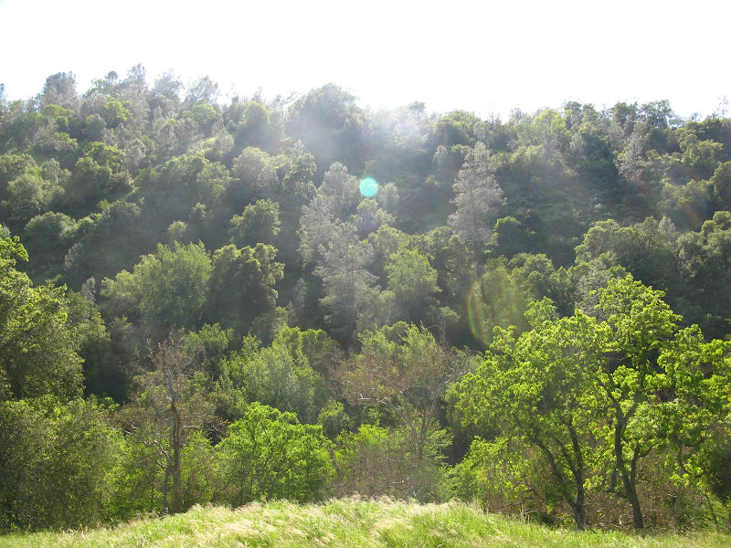Sunol Regional Wilderness Hike 015.JPG Photo