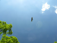 Sunol Regional Wilderness Hike 045.JPG Photo