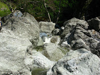 Sunol Regional Wilderness Hike 069.JPG Photo