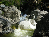 Sunol Regional Wilderness Hike 072.JPG Photo