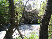 Sunol Regional Wilderness Hike 089.JPG Photo
