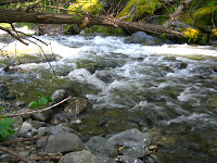 id_1167635