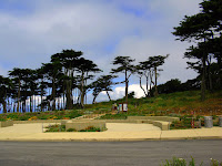San Fran Lands End Walk 012.JPG Photo