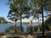 Alomitos Crk Trail Ride 033.JPG (Alamitos, California, United States) Photo