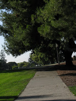 Home Ride 10 22 09 011.JPG Photo