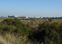 Home Ride 10 22 09 066.JPG Photo