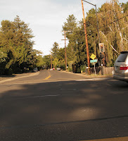 FoothillLogged 005.JPG Photo