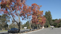 Dell2Liv 107.JPG