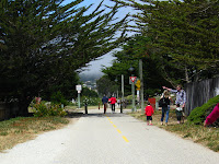 Pacific Grove Trail 049.JPG Photo