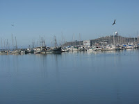Half Moon Bay Coastal Bike Ride 053.JPG