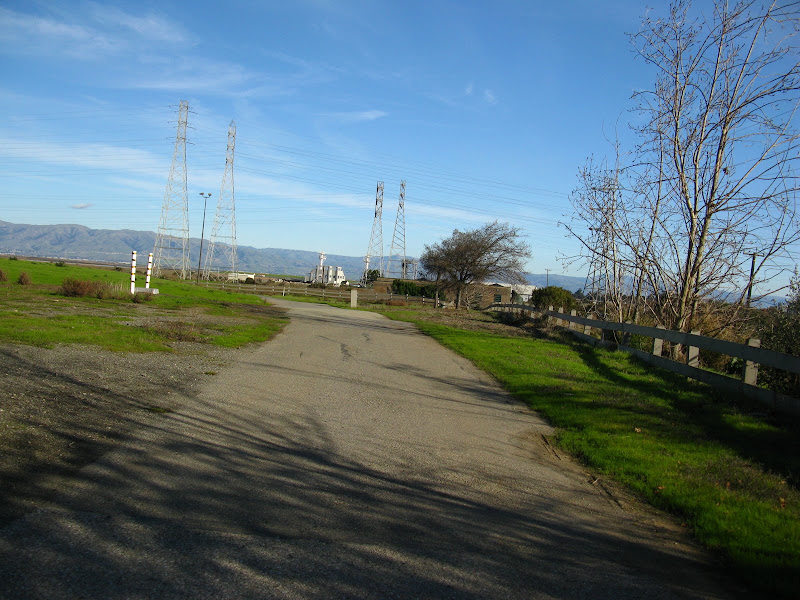Moffet Shoreline 119.JPG Photo