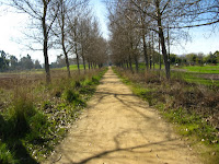 BayLands to BayFront 35M Bike Ride 012.JPG Photo