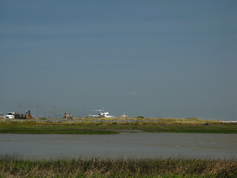 Foster City to SFO an Back 107.JPG Photo